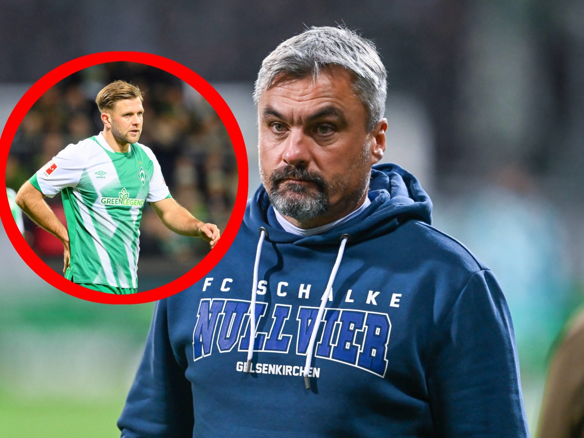 Schalke-Trainer Thomas Reis schaut auf Bremen-Stürmer Niklas Füllkrug.