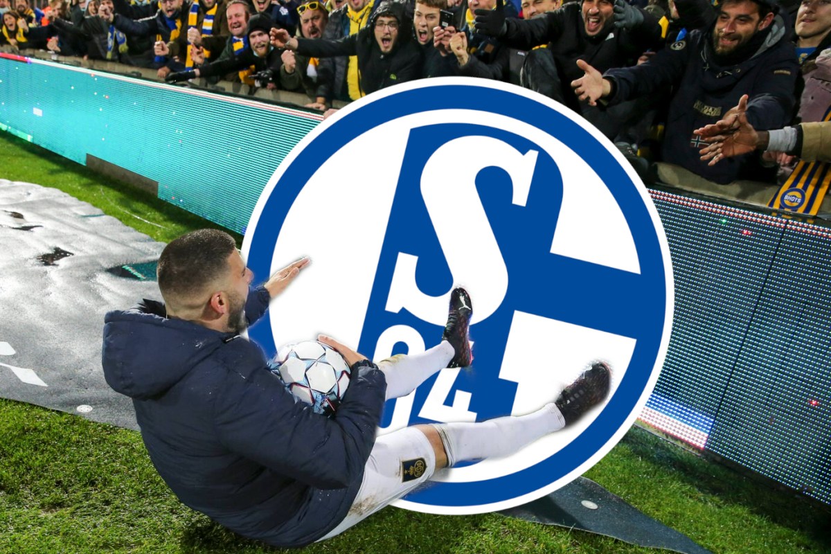 Deniz Undav jubelt vor einem Schalke-Wappen.