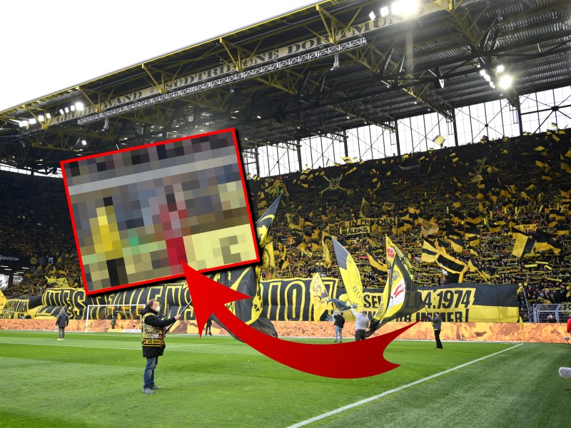 Borussia Dortmund Subotic