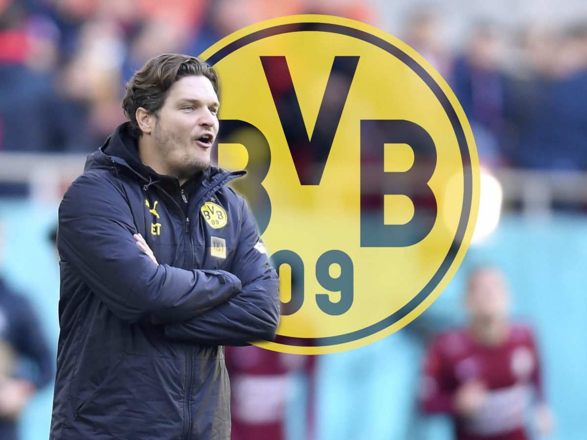 Bei Borussia Dortmund hat Edin Terzic einiges an Arbeit vor sich.