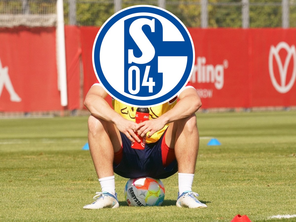 FC Schalke 04 schlägt auf dem Transfermarkt zu.