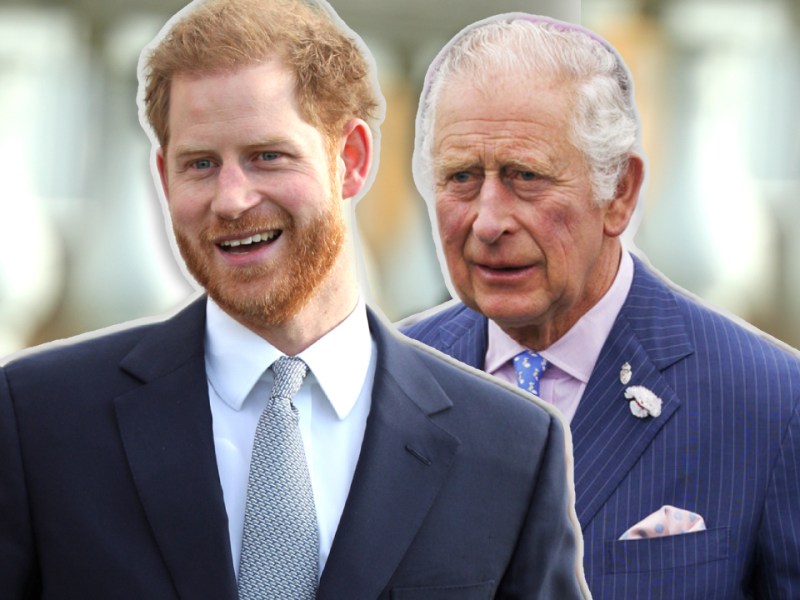Prinz Harry und König Charles III.