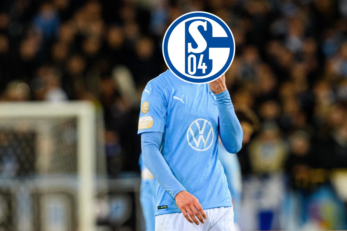 FC Schalke 04