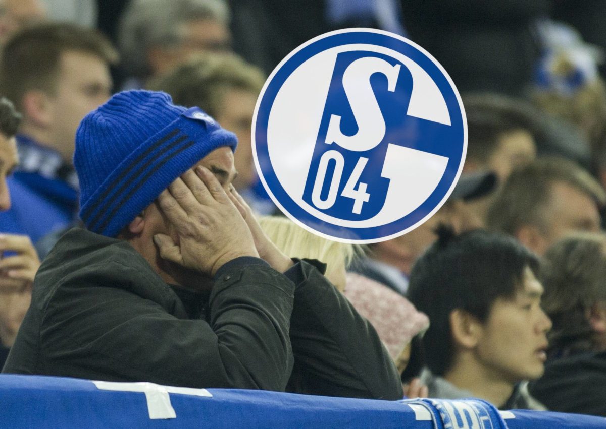 FC Schalke 04: Die Fans sind in Schockstarre.