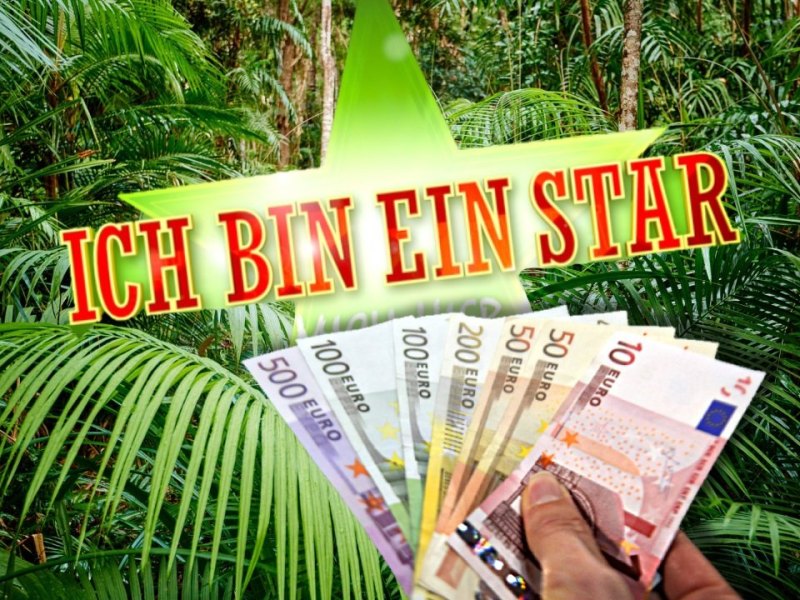 Dschungelcamp