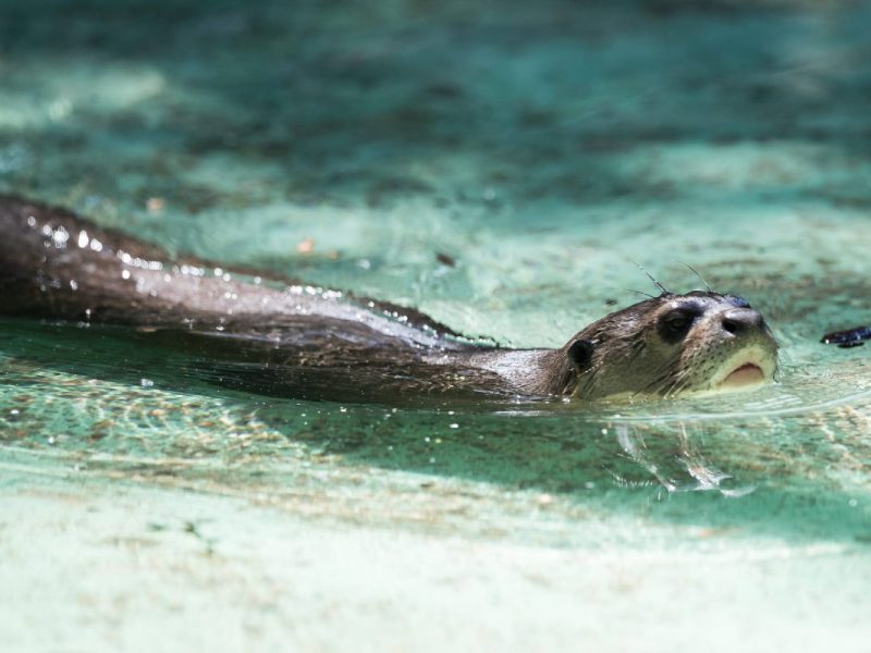 Zoo Dortmund