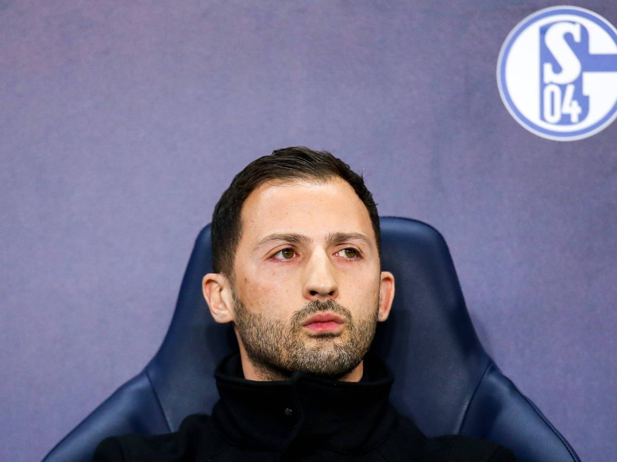 Domenico Tedesco hat beim FC Schalke 04 noch immer Fürsprecher.