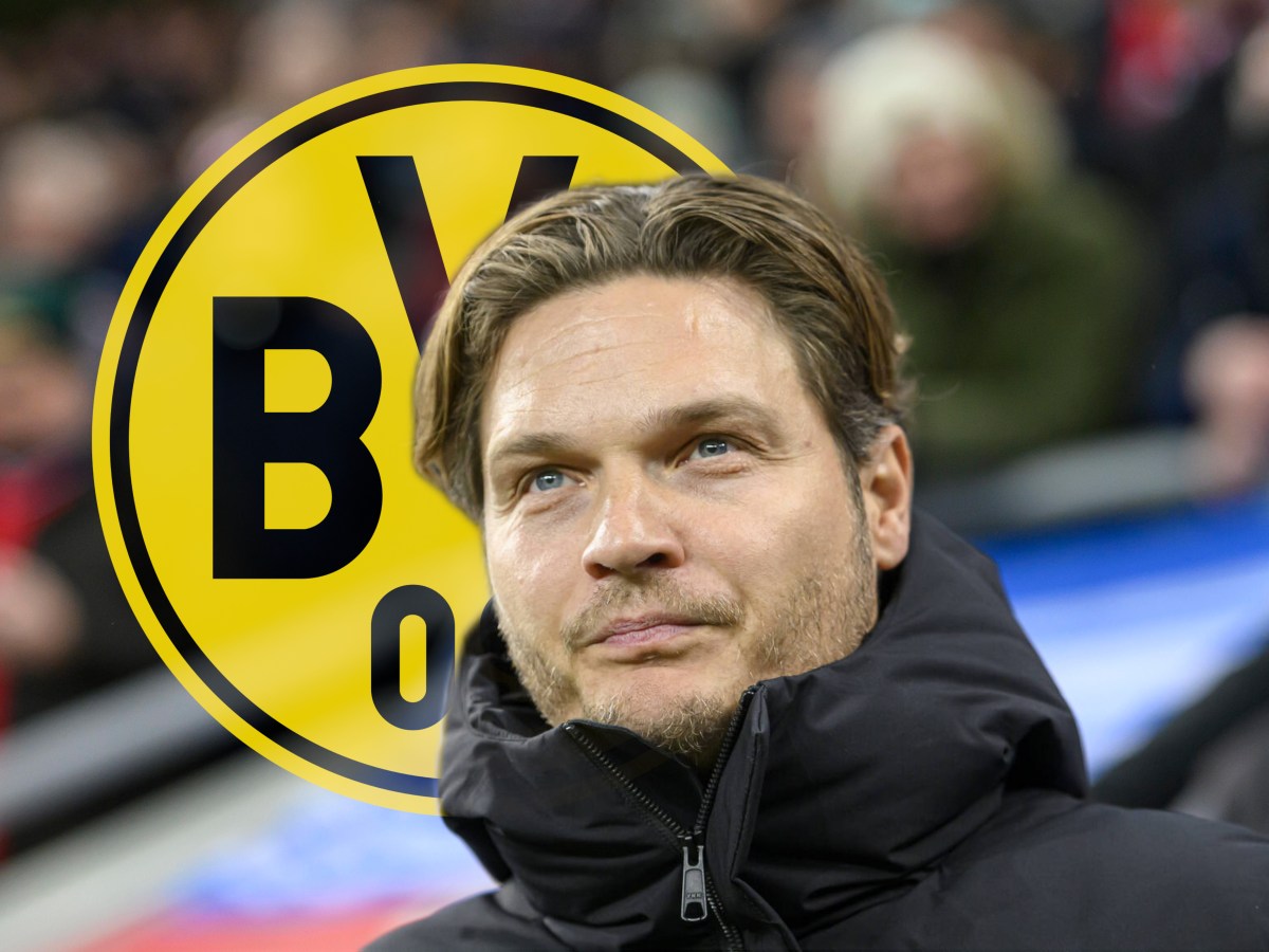 Borussia Dortmund steht vor einem Rätsel.