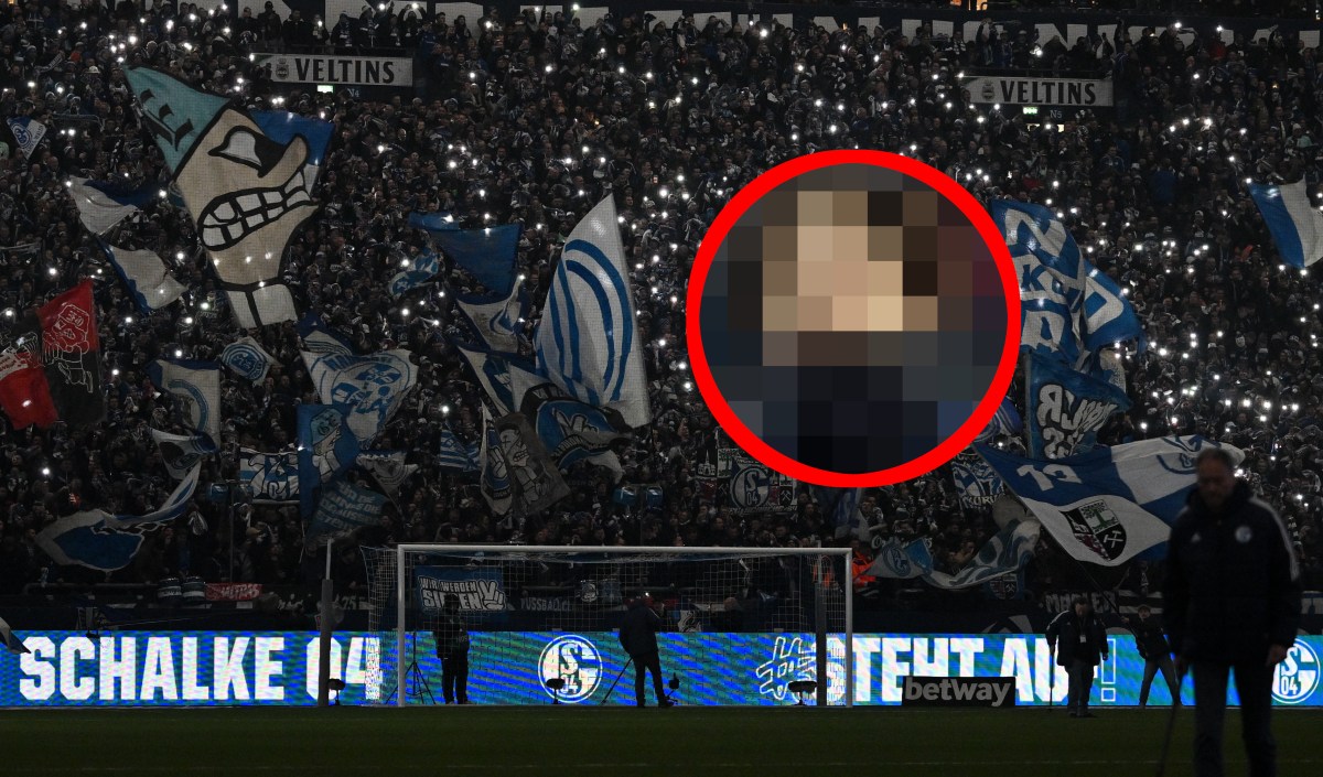 FC Schalke 04 VfL Wolfsburg