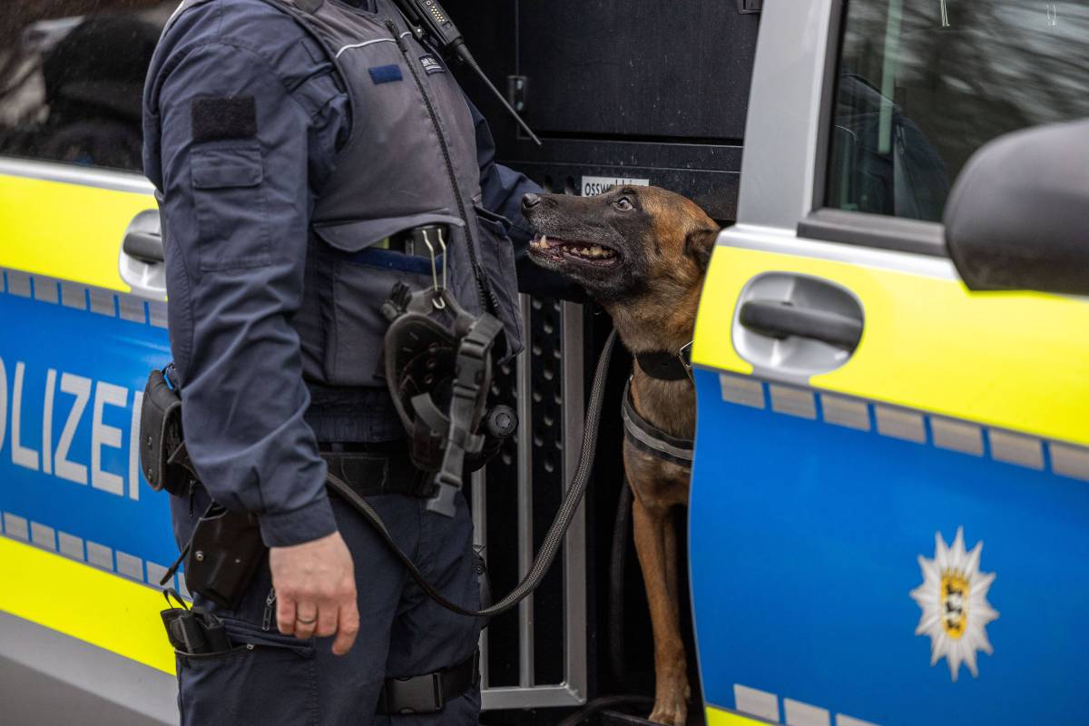 Ein Hund in NRW hat einen Beamten während einer Polizei-Übung angegriffen. Der Mann kam schwer verletzt ins Krankenhaus, der Hund wurde erschossen.