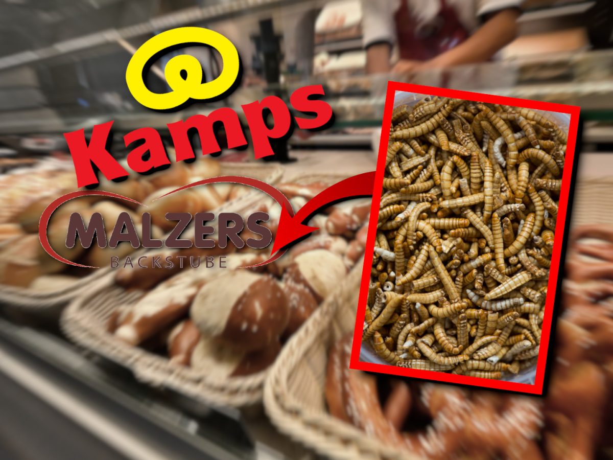 kamps malzers