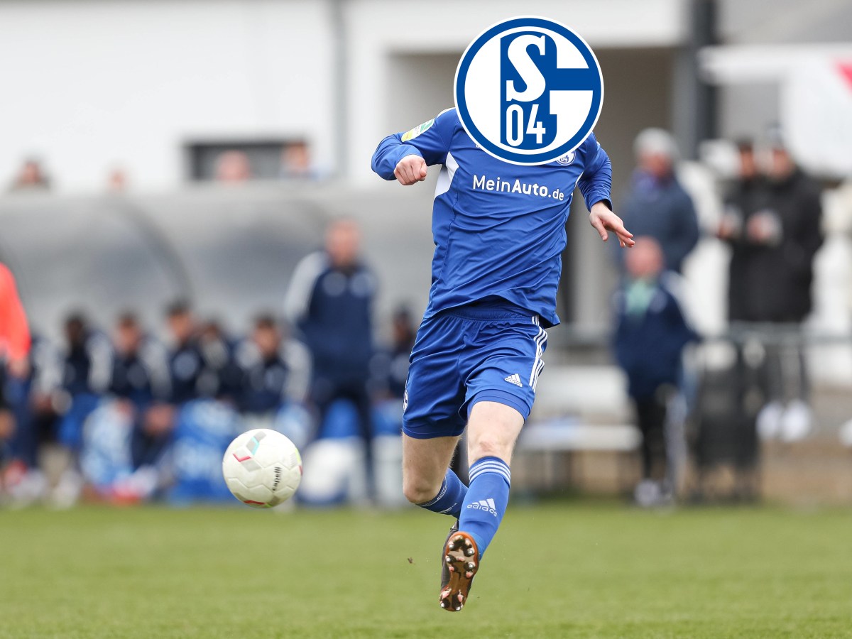 FC Schalke 04