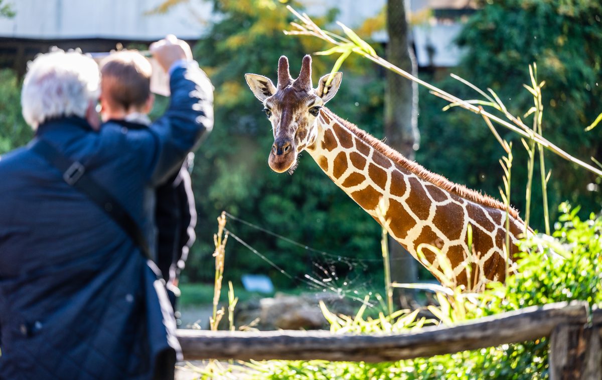 Zoo Duisburg