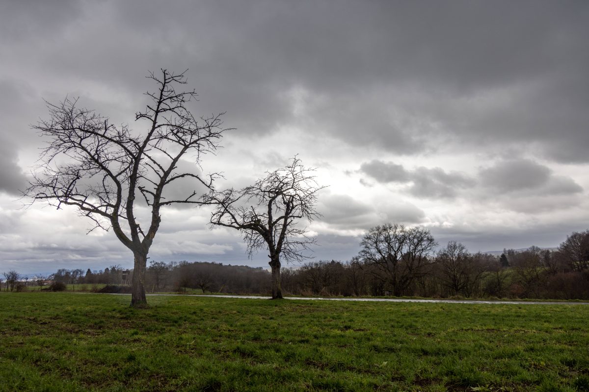 Wetter in NRW