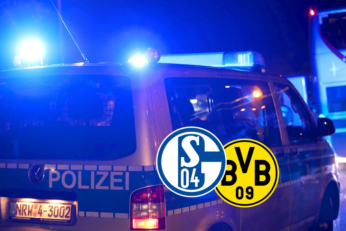 Schalke BVB