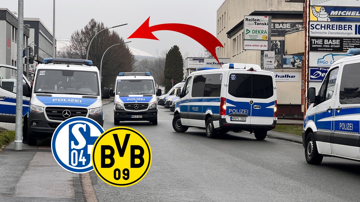 Schalke BVB