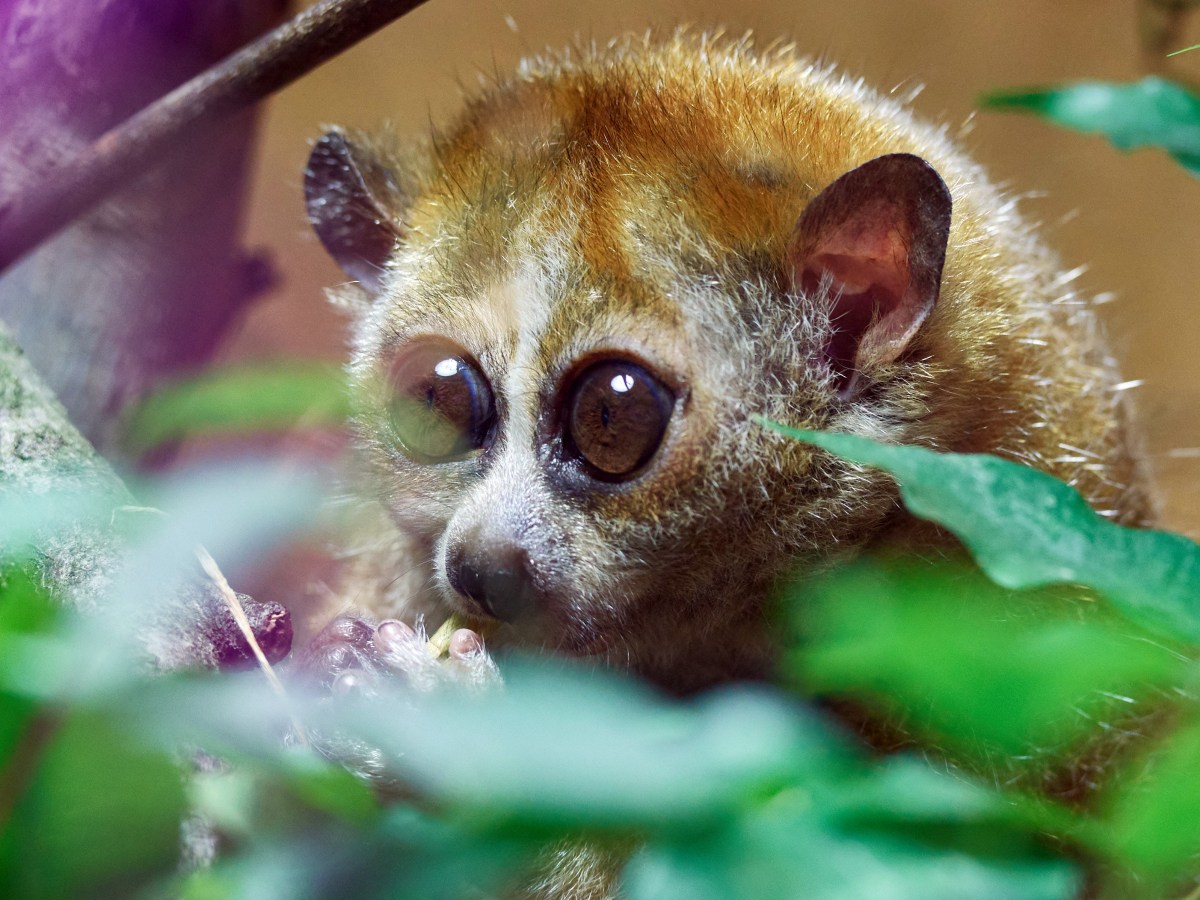 Zoo Dortmund