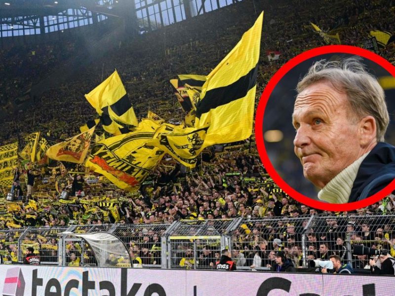 Eine Nachricht aus dem Nichts! Geschäftsführer Hans-Joachim Watzke verlässt Borussia Dortmund. Die Meinung der BVB-Fans ist eindeutig.