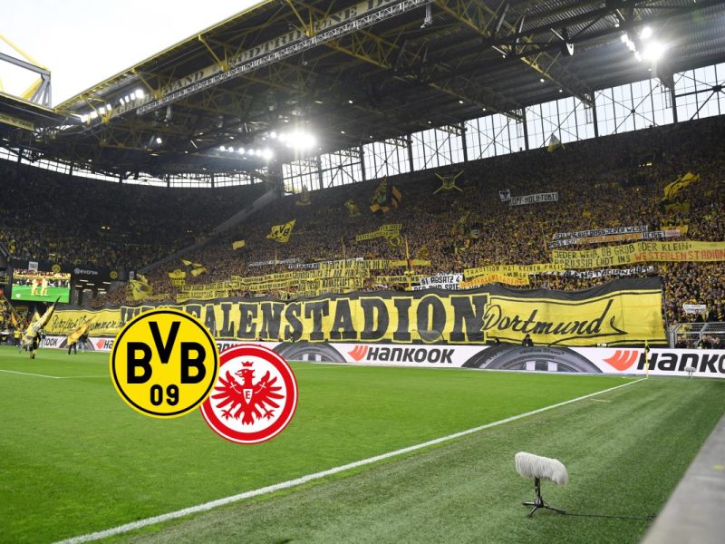 Dortmund - Frankfurt: Die BVB-Fans melden sich zu Wort.