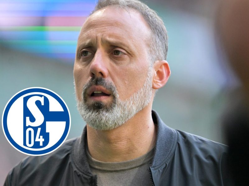 Hoffenheim Schalke