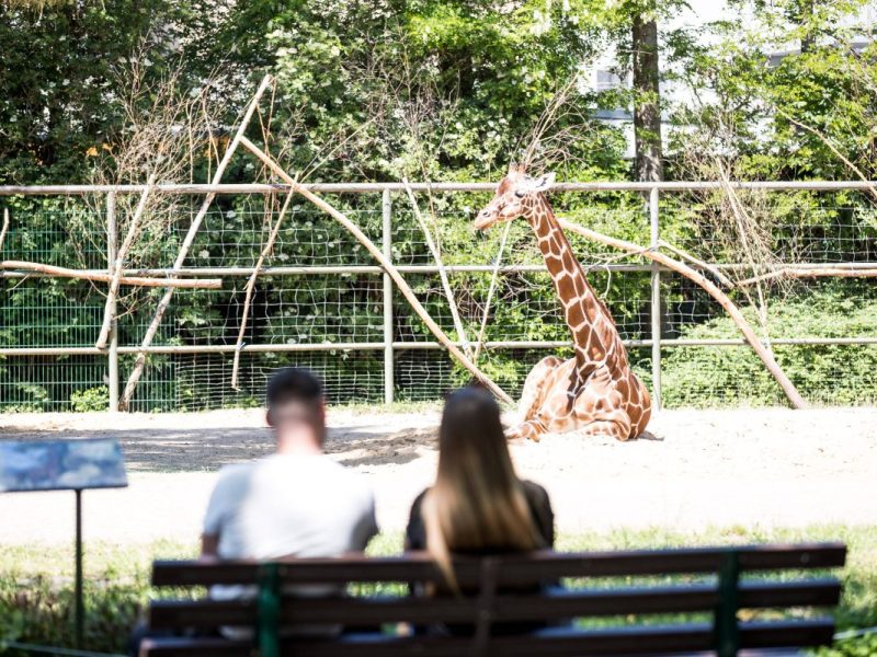 Zoo in NRW