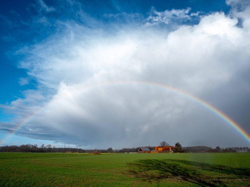 In Deutschland ist das Wetter am Wochenende frühlings-, fast sommerhaft. Doch die Freude währt nicht lange. Der Frühling bekommt wohl nochmal einen Dämpfer.