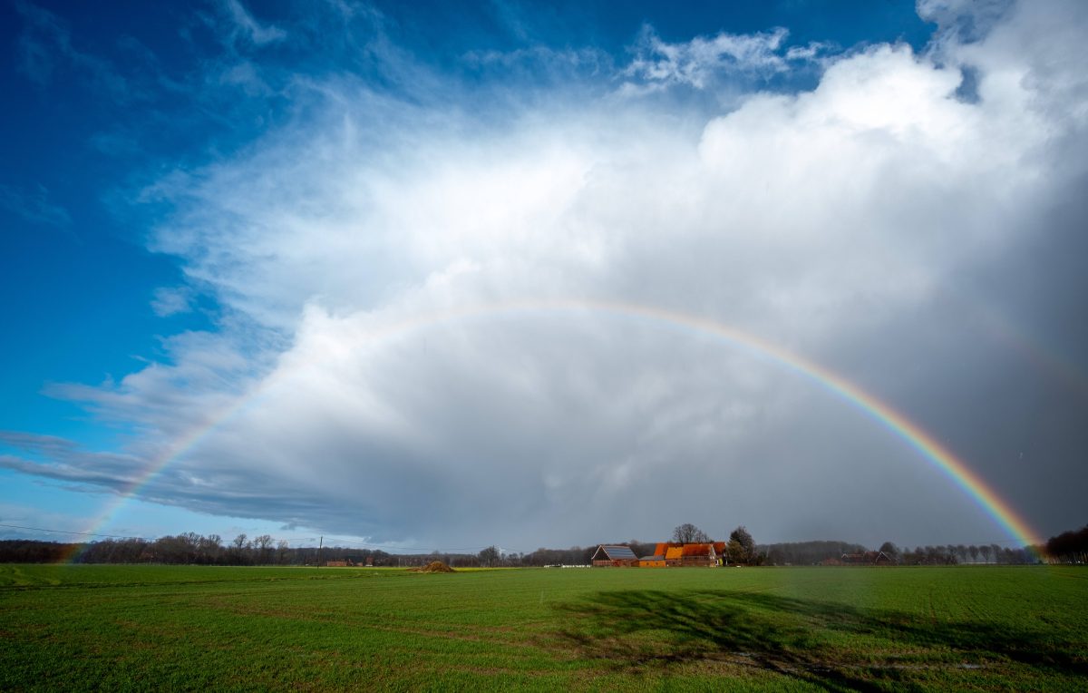 In Deutschland ist das Wetter am Wochenende frühlings-, fast sommerhaft. Doch die Freude währt nicht lange. Der Frühling bekommt wohl nochmal einen Dämpfer.