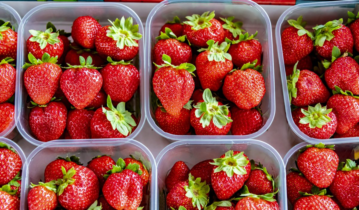 Aldi, Norma und Co.: Ã–ko-Test lÃ¤sst reihenweise Erdbeeren durchfallen.