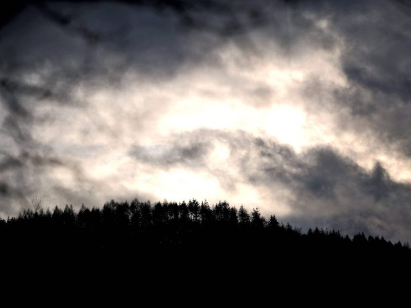 Wetter