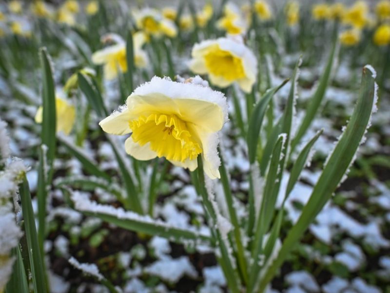 Wetter in NRW