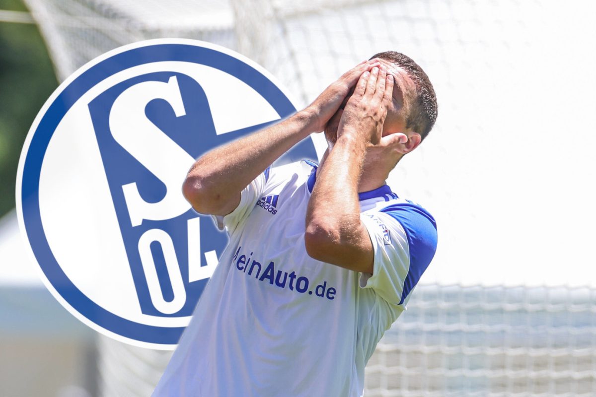 schalke-idrizi