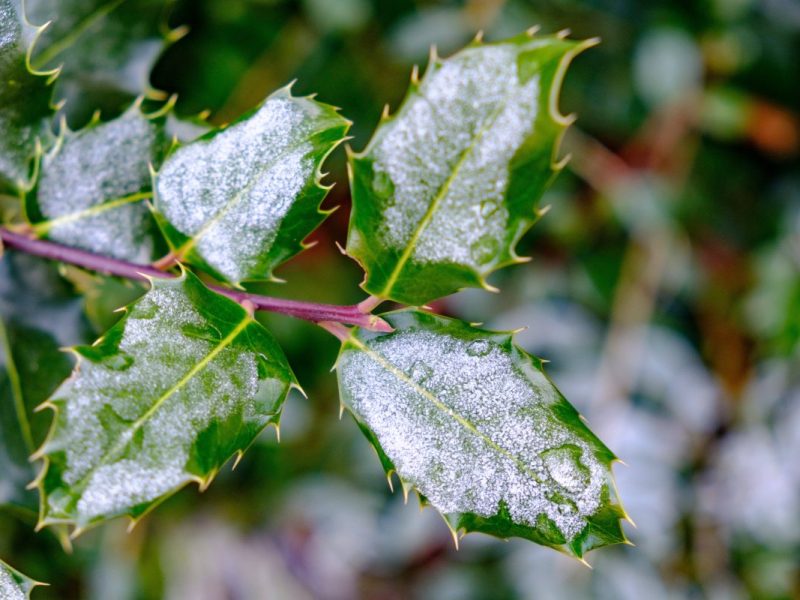 Wetter in NRW
