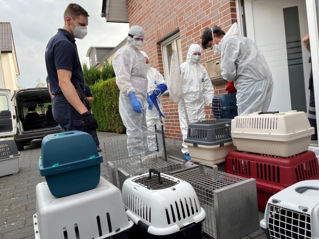 Die Katzen wurden in mehreren Transportboxen gesichert.