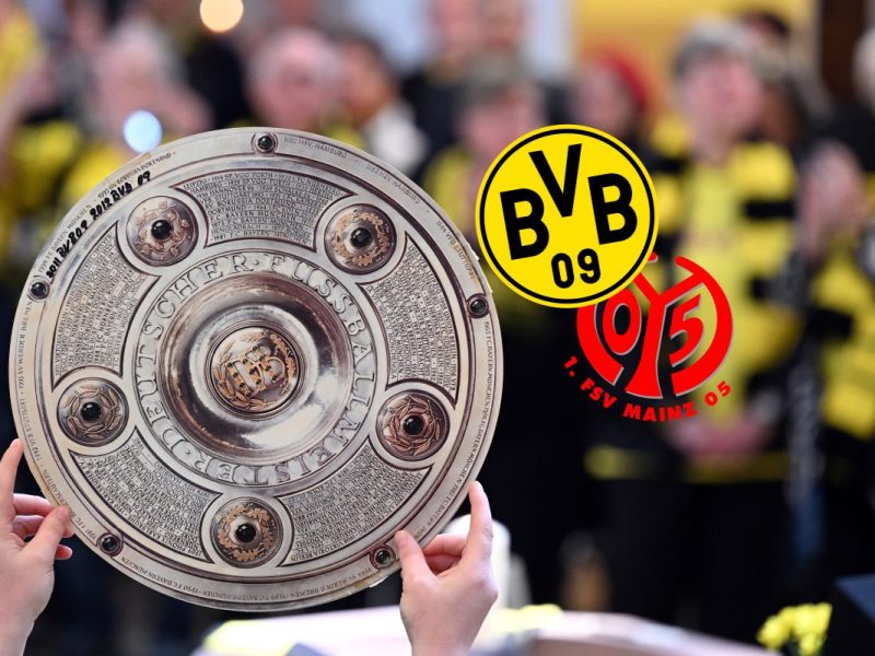 Die Fans von Borussia Dortmund spielen verrückt.