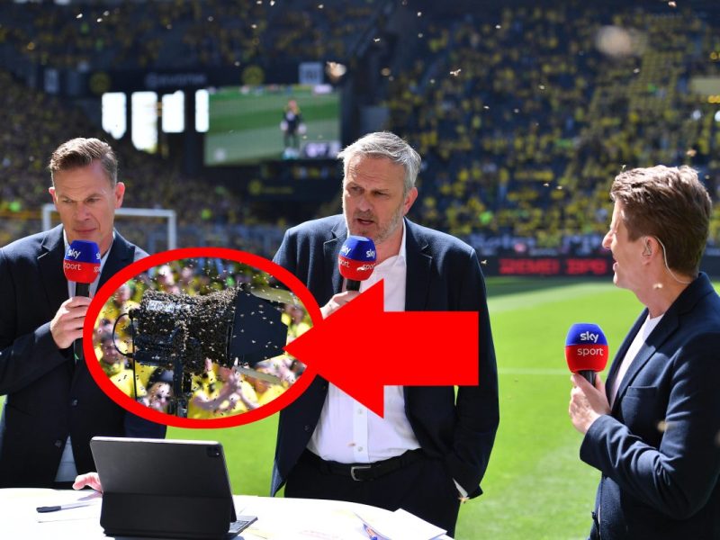 BVB Mainz
