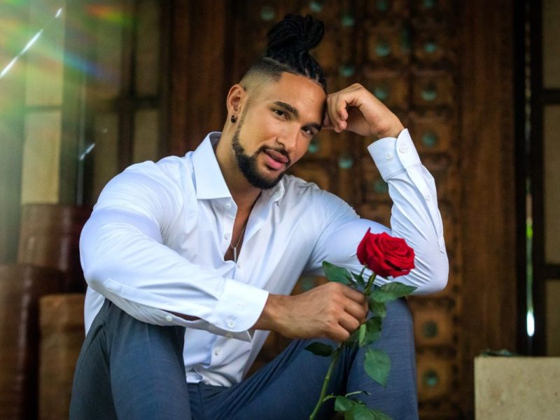 Der Bachelor