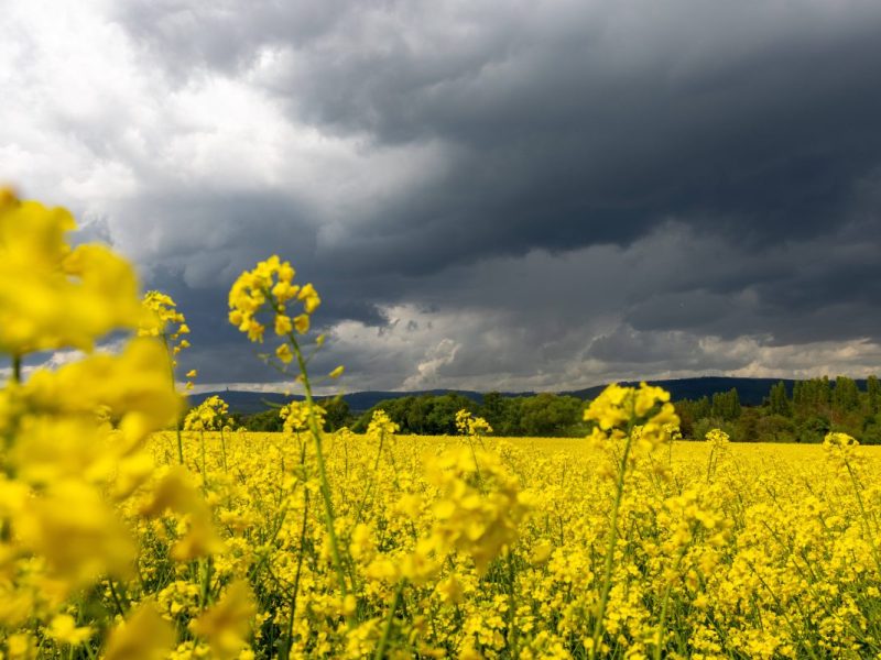 Wetter in NRW