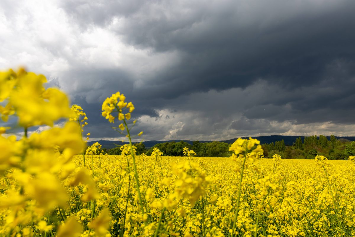 Wetter in NRW