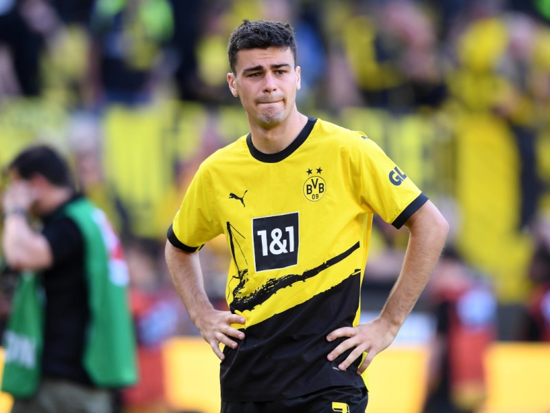 borussia-dortmund-reyna