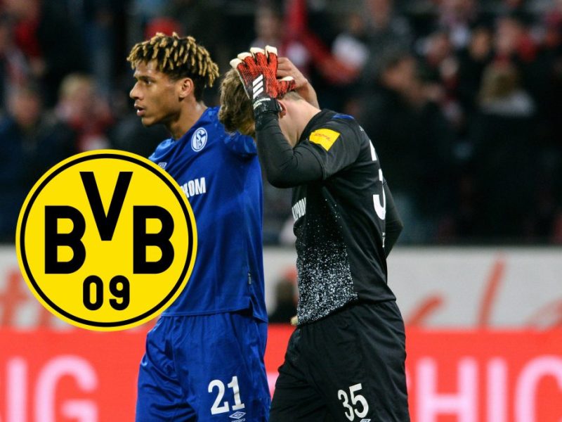 Borussia Dortmund Schalke