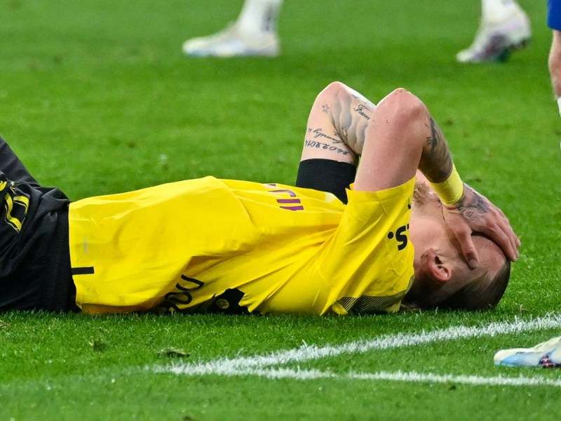 borussia-dortmund-wolf
