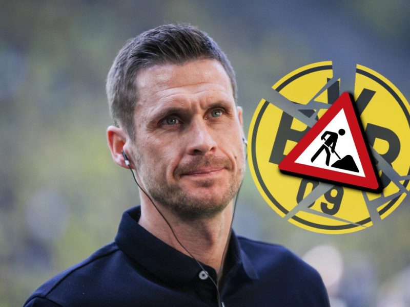 Sebastian Kehl sieht bei Borussia Dortmund einigen Baustellen entgegen.