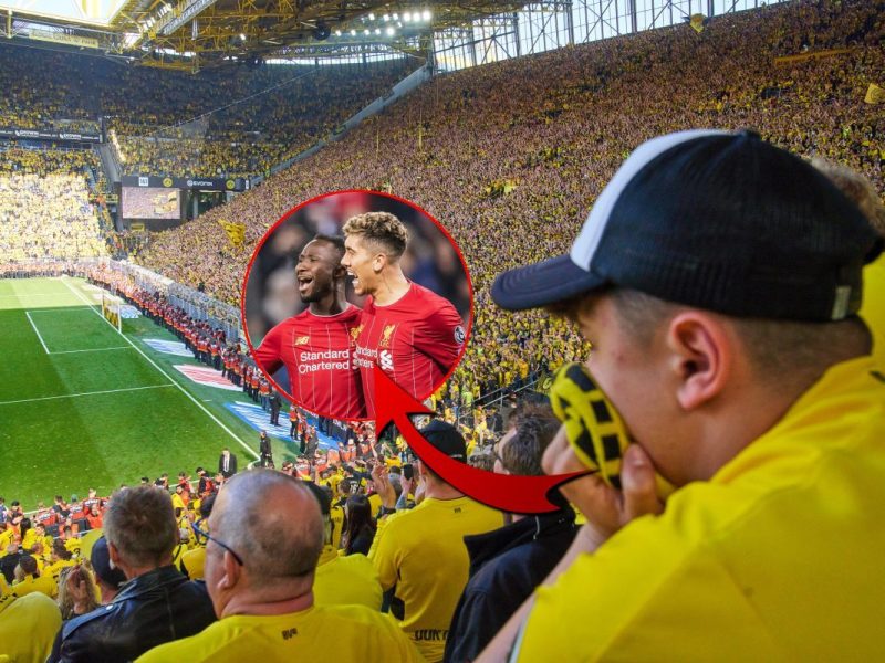 Dieser Transfer lässt die BVB-Fans schockiert zurück.