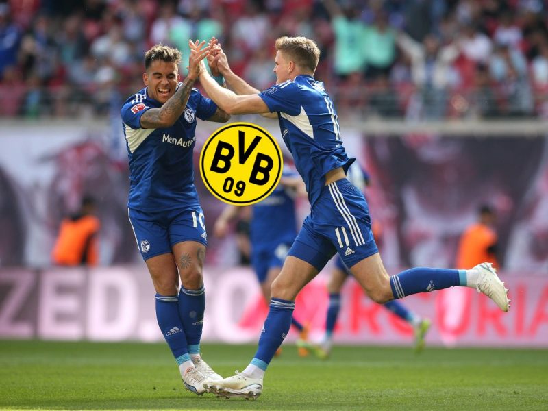 Beim FC Schalke 04 droht ein Abgang.