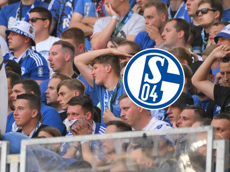 Frust bei den Fans des FC Schalke 04.
