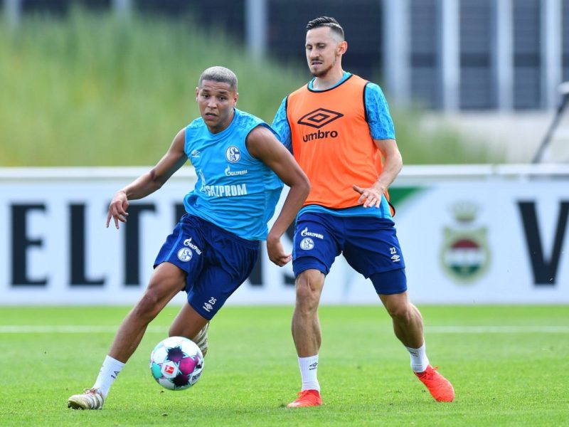 Der FC Schalke 04 will einen Star zurückholen.