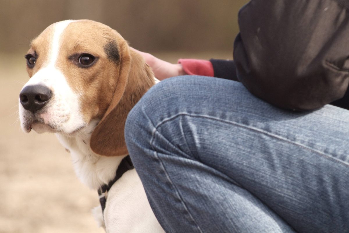 Hund und Halterin