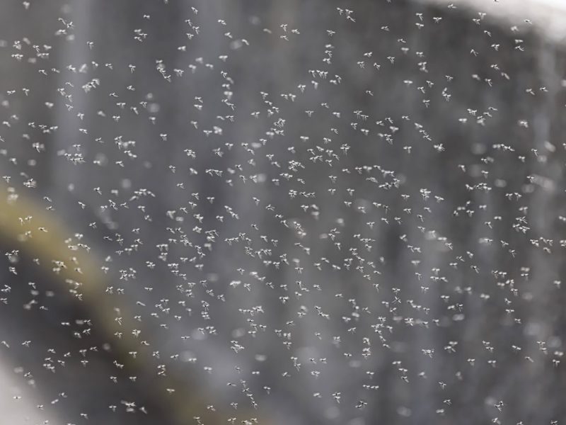 Wetter in NRW