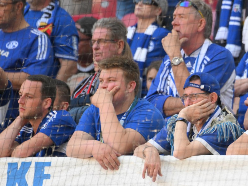 schalke-dauerkarten