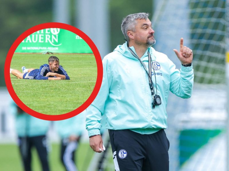 Schalke Pieringer